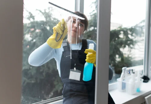 Nettoyage de vitres intérieures et extérieures à Biran